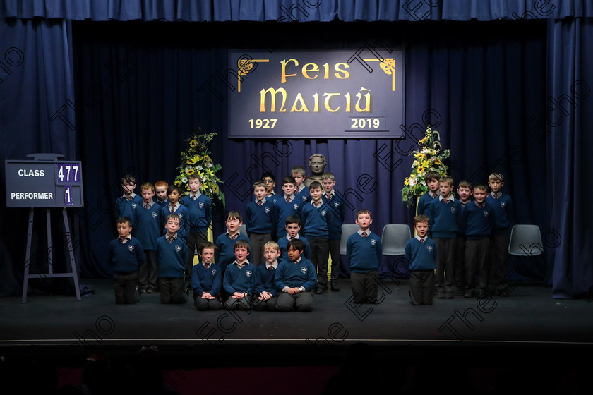 Feis27032019Wed22 
 22~24
Scoil an Spioraid Naoimh Glasheen performing Cats Protection League.

Choral Speaking Class: 475: The Curran Memorial Perpetual Cup 5thClass (a) The Dragon Who Ate Our School Nick Toczek (b) Own Choice.
Class: 477: The Catherine Mahon Perpetual Cup 3rdClass (a) Queue for the Zoo Clare Bevan. (b) Own Choice.

Feis Maiti 93rd Festival held in Fr. Mathew Hall. EEjob 27/03/2019. Picture: Gerard Bonus