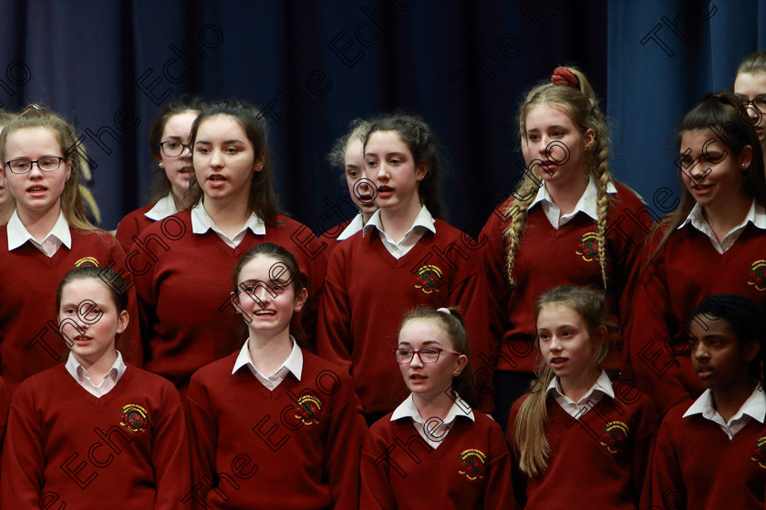 Feis27022019Wed42 
 39~42
Loreto 1st Year B singing Bessie The Black Cat by Peter Jenkins conducted by Sharon Glancy.

Class: 83: The Loreto Perpetual Cup Secondary School Unison Choirs

Feis Maiti 93rd Festival held in Fr. Mathew Hall. EEjob 27/02/2019. Picture: Gerard Bonus