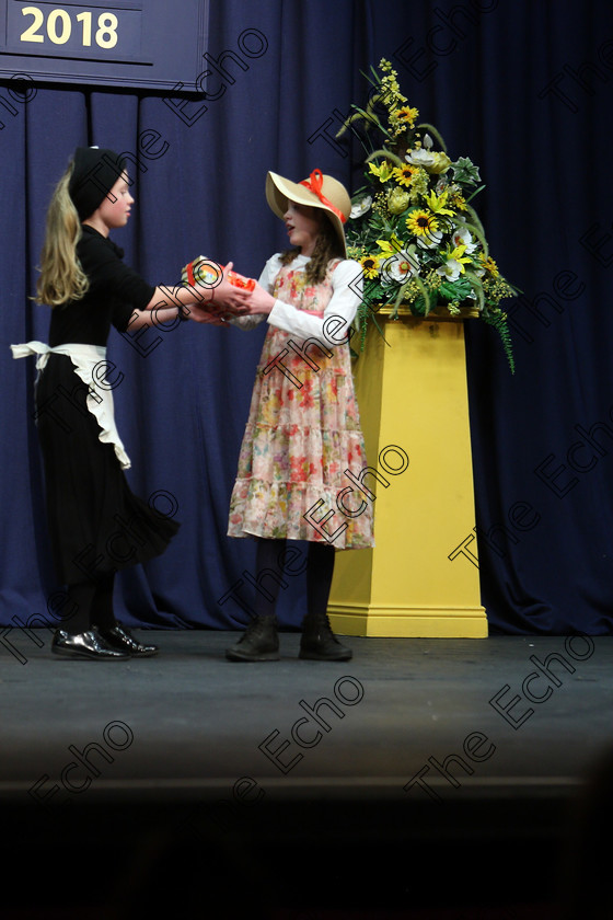 Feis22022018Thu58 
 58~60
Muirearn OConnell and Ellie McManus performing Roll of Thunder Hear my Cry.
 Speech and Drama Classes: 310: The Peg Hallahan Perpetual Trophy Dramatic Duo 14 Years and Under Feis Maiti 92nd Festival held in Fr. Mathew Hall. EEjob 22/02/2018 Picture: Gerard Bonus.