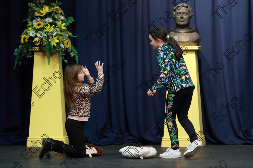 Feis27032019Wed35 
 35~36
Sophie OConnell and Anna Rochford from Ovens performing Horrid Henry,

Class: 312: Dramatic Duo 10Years and Under Section 2 A Duo Scene not exceeding 5minutes.

Feis Maiti 93rd Festival held in Fr. Mathew Hall. EEjob 27/03/2019. Picture: Gerard Bonus