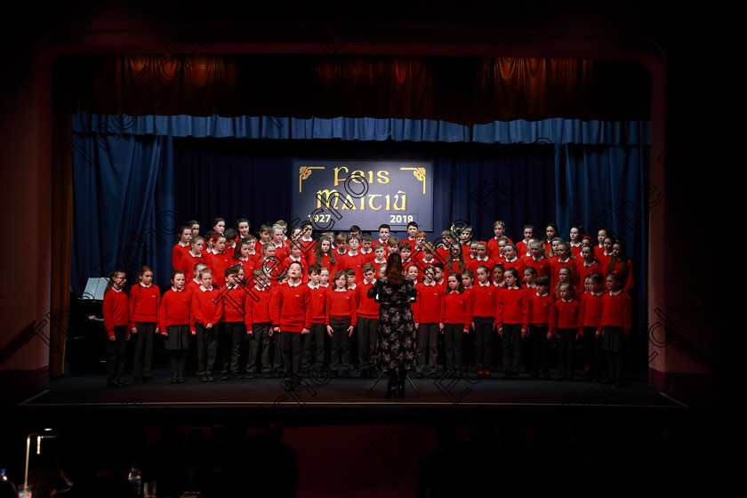 Feis28022019Thu45 
 45~48
Gaelscoil U Drisceoil Glanmire singing Ballue.

Class: 85: The Soroptimist International (Cork) Perpetual Trophy and Bursary
Bursary Value 130 Unison or Part Choirs 13 Years and Under Two contrasting folk songs.

Feis Maiti 93rd Festival held in Fr. Mathew Hall. EEjob 28/02/2019. Picture: Gerard Bonus