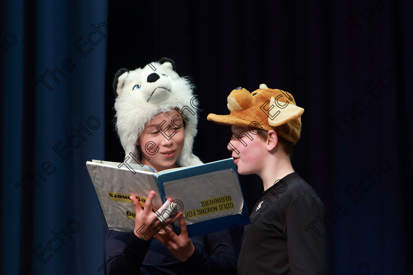 Feis22032019Fri40 
 38~40
Roran McGonagle and Joseph Healy from Togher and Model Farm Road performing Mother Goose.

Class: 311: Dramatic Duo12 Years and Under Section 2 A Dramatic Scene not exceeding 8minutes.

Feis Maiti 93rd Festival held in Fr. Mathew Hall. EEjob 22/03/2019. Picture: Gerard Bonus.