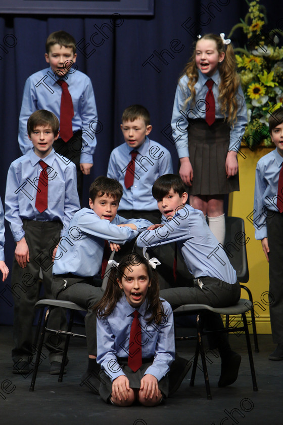 Feis23022018Fri40 
 37~40
Ovens NS performing.
 Speech and Drama Class: 476: The Peg OMahony Memorial Perpetual Cup Choral Speaking 4th Class Feis Maiti 92nd Festival held in Fr. Mathew Hall. EEjob 23/02/2018 Picture: Gerard Bonus.