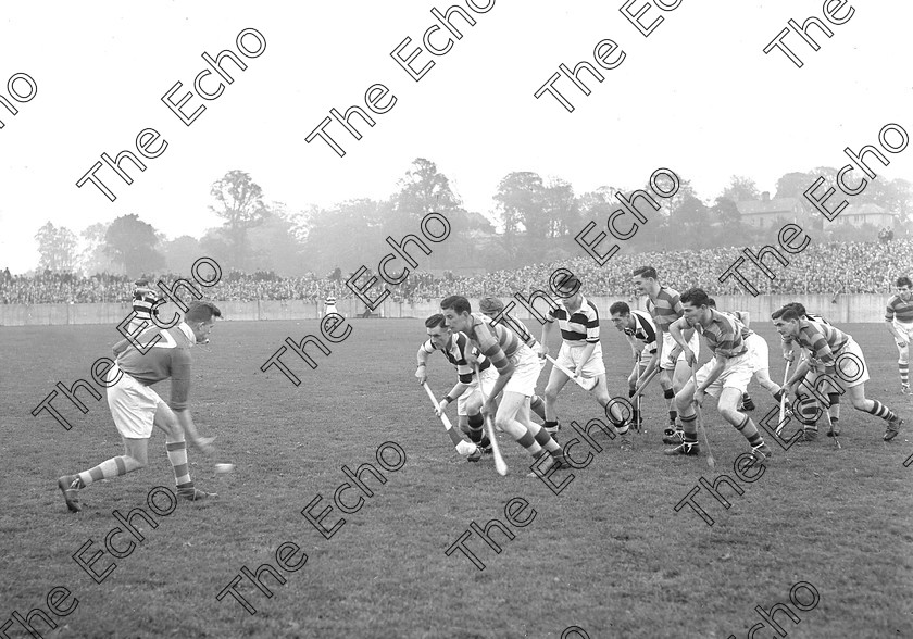 Blackrock-1956-830296 830296 
 ROCKIES 166J 
Action from 1956 Cork County Hurling final Blackrock v Glen Rovers . Referee throwing in the Sliotar . Echoes of the Past , Where we sported and played . page 67 correct version .