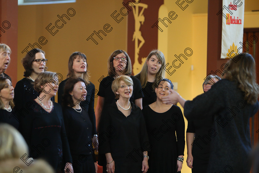 Feis04022018Sun65 
 63~70
Douglas Harmonia performing.
 Holy Trinity Capuchin Church Adult Choirs Class: 78: The Lynch Memorial Perpetual Cup Adult Vocal Choirs Two Contrasting Songs Feis Maiti 92nd Festival held in Fr. Matthew Hall. EEjob 02/02/2018 Picture: Gerard Bonus.