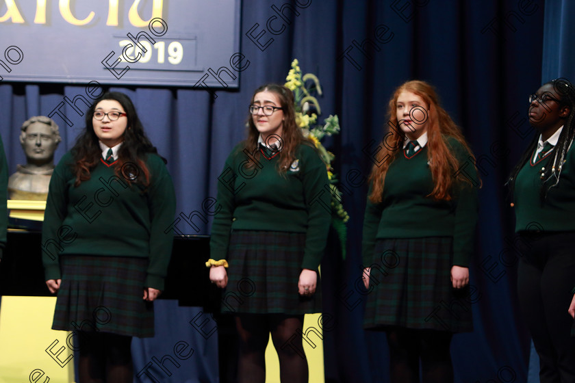 Feis08022019Fri28 
 27~29
Cashel Community School singing Count The Stars conducted by John Murray.

Class: 87: The Cashs of Cork Perpetual Trophy 19 Years and Under
Two contrasting songs.

Feis Maiti 93rd Festival held in Fr. Matthew Hall. EEjob 08/02/2019. Picture: Gerard Bonus