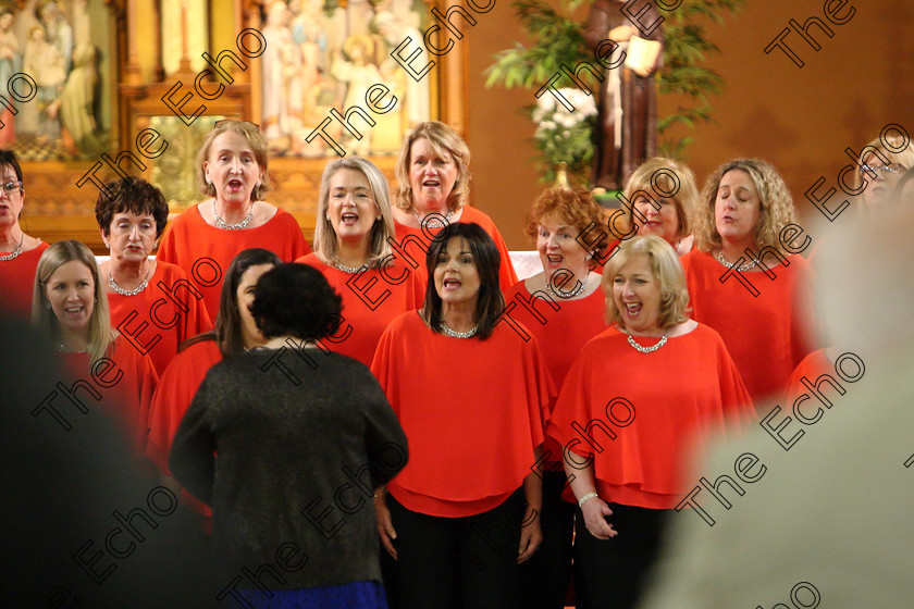 Feis04022018Sun90 
 90
Java Ladies Chorus conducted by Serena Standley.
 Class: 79: The Holy Trinity Perpetual Cup Chamber Choirs; Two Contrasting Songs Feis Maiti 92nd Festival held in Fr. Mathew Hall. EEjob 04/02/2018 Picture: Gerard Bonus.