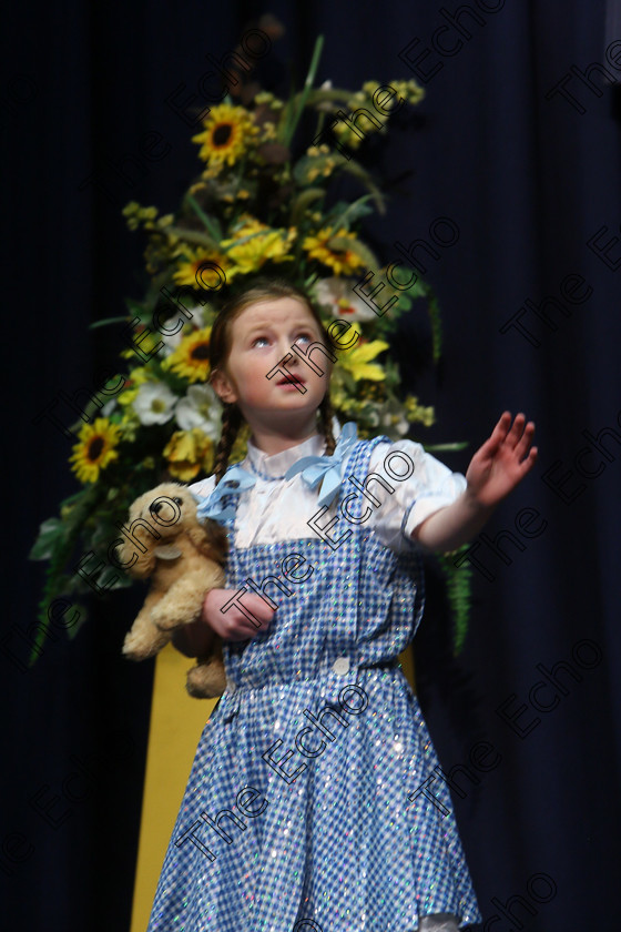 Feis20032018Tue28 
 27~28
Laura Cummins performing Caught in the Cyclone from The Wizard of Oz.
 Speech and Drama Class: 329: Dramatic Solo 8 Years and Under Feis Maiti 92nd Festival held in Fr. Mathew Hall. EEjob 20/03/2018 Picture: Gerard Bonus