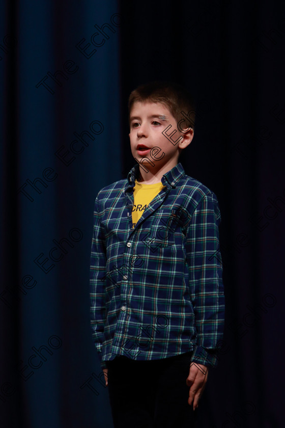 Feis30032019Sat70 
 70
Ewan Quaine performing.

Class: 383: Solo Verse Speaking Boys 6 Years and UnderSection 2 Either: Tarantula Clare Bevan or Bedtime Allan Ahlberg.

Feis Maiti 93rd Festival held in Fr. Mathew Hall. EEjob 30/03/2019. Picture: Gerard Bonus