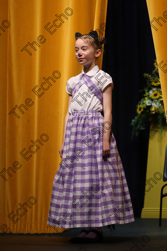 Feis20032018Tue29 
 29~32
Charlotte Herlihy from Ballinhassig giving a Silver Medal performance of The Tale of Tom Kitten by Beatrix Potter.
 Speech and Drama Class: 329: Dramatic Solo 8 Years and Under Feis Maiti 92nd Festival held in Fr. Mathew Hall. EEjob 20/03/2018 Picture: Gerard Bonus