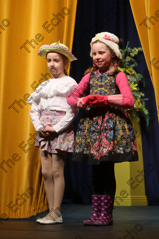 Feis20032018Tue43 
 43~46
Silver Medallists Laura Coomey and Tamara Moynihan from Grange Ovens for their performance of Mary Lamb and Mary, Mary Quite Contrary.
 Speech and Drama Class: 313: Dramatic Duo 8 Years and Under Feis Maiti 92nd Festival held in Fr. Mathew Hall. EEjob 20/03/2018 Picture: Gerard Bonus.