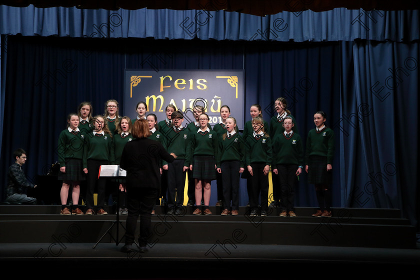 Feis12042018Thu44 
 44~45
Cashel Community School singing The Tiger and Sally Gardens Conducted by Helen Colbert and Accompanist Michael Young. 
 Singing Class: 83: The Loreto Perpetual Cup Secondary School Unison Choirs Feis Maiti 92nd Festival held in Fr. Mathew Hall. EEjob 12/04/2018 Picture: Gerard Bonus