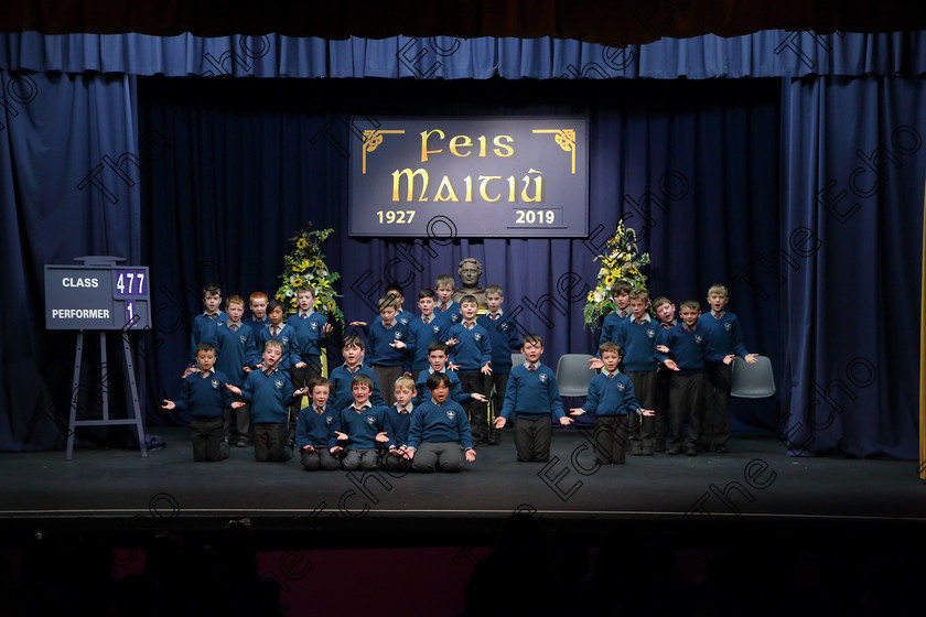 Feis27032019Wed23 
 22~24
Scoil an Spioraid Naoimh Glasheen performing Cats Protection League.

Choral Speaking Class: 475: The Curran Memorial Perpetual Cup 5thClass (a) The Dragon Who Ate Our School Nick Toczek (b) Own Choice.
Class: 477: The Catherine Mahon Perpetual Cup 3rdClass (a) Queue for the Zoo Clare Bevan. (b) Own Choice.

Feis Maiti 93rd Festival held in Fr. Mathew Hall. EEjob 27/03/2019. Picture: Gerard Bonus