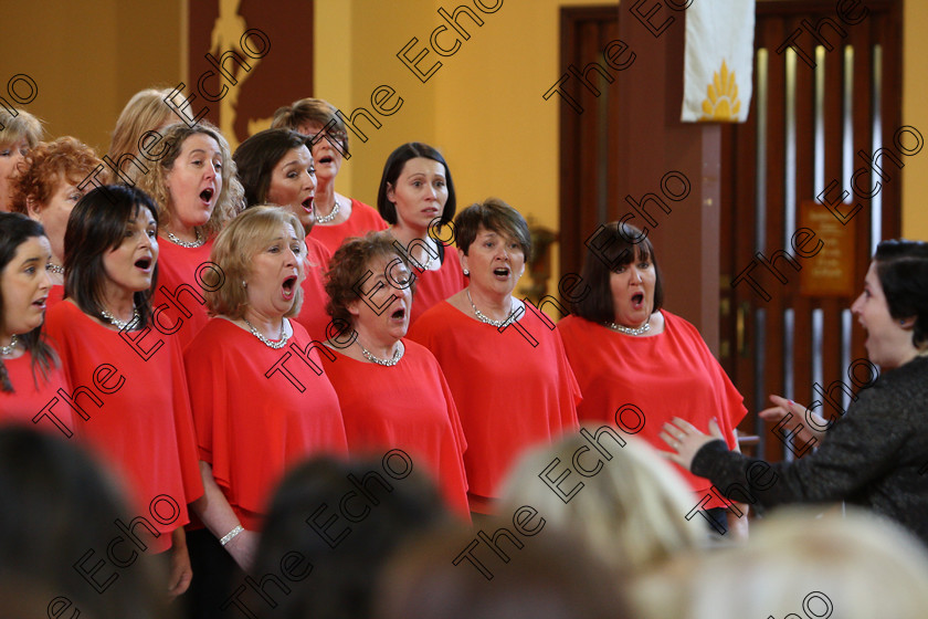 Feis04022018Sun21 
 17~23
Java Ladies Chorus conducted by Serena Standley.
 Holy Trinity Capuchin Church Adult Choirs Class: 76: The Wm. Egan Perpetual Cup Adult Sacred Choral Group or Choir Feis Maiti 92nd Festival held in Fr. Matthew Hall. EEjob 02/02/2018 Picture: Gerard Bonus.