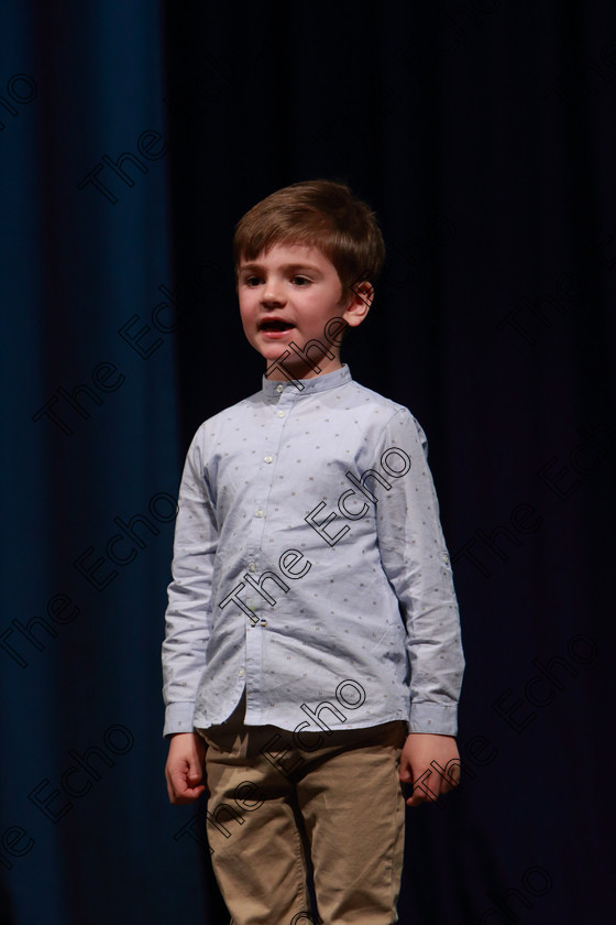 Feis30032019Sat68 
 68
1st time performer Cameron Quinn from Farran

Class: 383: Solo Verse Speaking Boys 6 Years and UnderSection 2 Either: Tarantula Clare Bevan or Bedtime Allan Ahlberg.

Feis Maiti 93rd Festival held in Fr. Mathew Hall. EEjob 30/03/2019. Picture: Gerard Bonus