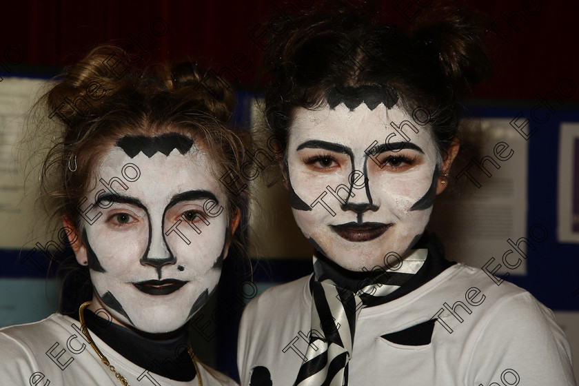 Feis15032018Thu13 
 13
Performers Lily OConnell and Molly OMahony from Blarney Street and Togher performed Mongo Jerry and Rumple Teaser.
 Speech and Drama Class: 336: The Trevor Ryan Perpetual Cup Musical Drama Duo18 Years and Under Feis Maiti 92nd Festival held in Fr. Mathew Hall. EEjob 15/03/2018 Picture: Gerard Bonus.