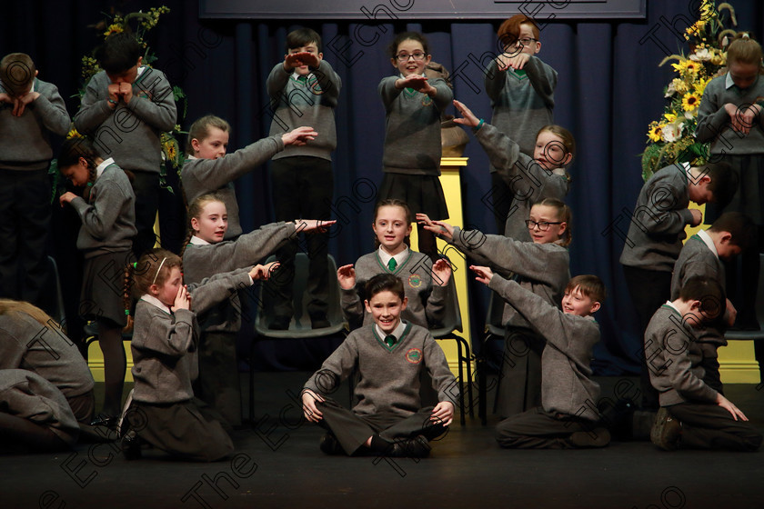 Feis20032019Wed18 
 16~18
Gaelscoil and Teaghaigh Naoife performing.

Class: 476: The Peg OMahony Memorial Perpetual Cup Choral Speaking 4th Class (a) The Three Little Pigs Marian Swinger (b) Own Choice.

Feis Maiti 93rd Festival held in Fr. Mathew Hall. EEjob 20/03/2019. Picture: Gerard Bonus.