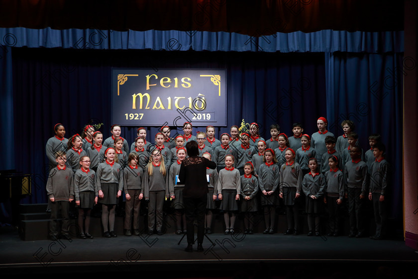 Feis28022019Thu14 
 14~16
St. Lukes Primary School Douglas singing Hi-diddle-dee-dee
an actor's life for me.

Class: 84: The Sr. M. Benedicta Memorial Perpetual Cup Primary School Unison ChoirsSection 1Two contrasting unison songs.

Feis Maiti 93rd Festival held in Fr. Mathew Hall. EEjob 28/02/2019. Picture: Gerard Bonus