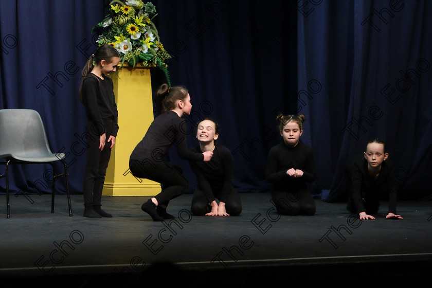 Feis23022018Fri83 
 83
Ellis Stage School Passage West Group performing At The Pet Shop
 Speech and Drama Class: 468 The Ide McSweeney Perpetual Cup Group Mime 11 Years and Under Feis Maiti 92nd Festival held in Fr. Mathew Hall. EEjob 23/02/2018 Picture: Gerard Bonus.