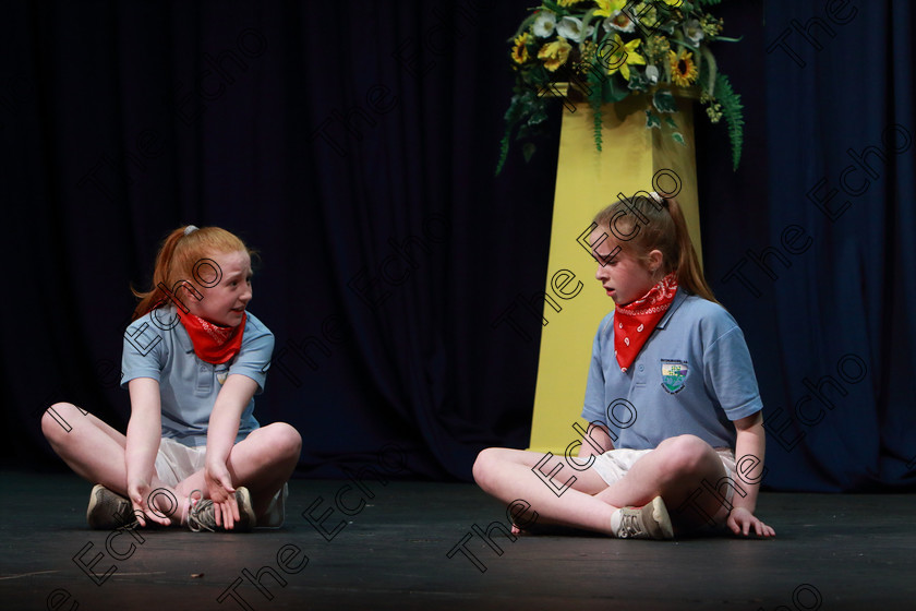 Feis21032019Thu09 
 8~9
Joan Keohane and Sinead ONeill from Watergrasshill giving a Commended performance of Adventure Camp.

Class: 311: Dramatic Duo 12 Years and Under Section 1 A Dramatic Scene not exceeding 8minutes.

Feis Maiti 93rd Festival held in Fr. Mathew Hall. EEjob 21/03/2019. Picture: Gerard Bonus.