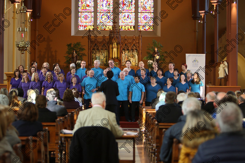 Feis04022018Sun56 
 49~57
Scrubs Choir conducted by Patrick Dalton.
 Holy Trinity Capuchin Church Adult Choirs Class: 78: The Lynch Memorial Perpetual Cup Adult Vocal Choirs Two Contrasting Songs Feis Maiti 92nd Festival held in Fr. Matthew Hall. EEjob 02/02/2018 Picture: Gerard Bonus.