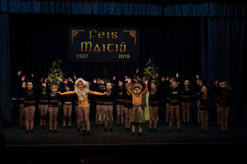 Feis12022019Tue21 
 17~24
Timoleague NS performing extracts from The Lion King.

Class: 104: The Pam Golden Perpetual Cup Group Action Songs -Primary Schools Programme not to exceed 8 minutes.

Feis Maiti 93rd Festival held in Fr. Mathew Hall. EEjob 12/02/2019. Picture: Gerard Bonus