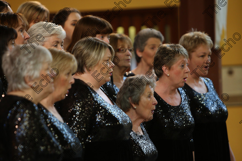 Feis04022018Sun78 
 71~76
The Voices conducted by Mary Pedder Daly 
 Holy Trinity Capuchin Church Adult Choirs Class: 78: The Lynch Memorial Perpetual Cup Adult Vocal Choirs Two Contrasting Songs Feis Maiti 92nd Festival held in Fr. Matthew Hall. EEjob 02/02/2018 Picture: Gerard Bonus.