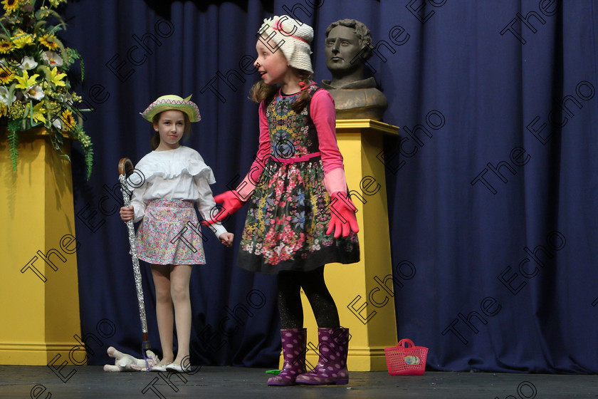 Feis20032018Tue44 
 43~46
Silver Medallists Laura Coomey and Tamara Moynihan from Grange Ovens for their performance of Mary Lamb and Mary, Mary Quite Contrary.
 Speech and Drama Class: 313: Dramatic Duo 8 Years and Under Feis Maiti 92nd Festival held in Fr. Mathew Hall. EEjob 20/03/2018 Picture: Gerard Bonus.