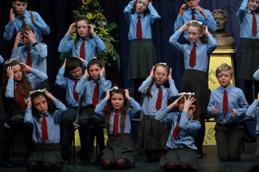 Feis27032019Wed09 
 7~12
Ovens NS performing.

Choral Speaking Class: 475: The Curran Memorial Perpetual Cup 5thClass (a) The Dragon Who Ate Our School Nick Toczek (b) Own Choice.
Class: 477: The Catherine Mahon Perpetual Cup 3rdClass (a) Queue for the Zoo Clare Bevan. (b) Own Choice.

Feis Maiti 93rd Festival held in Fr. Mathew Hall. EEjob 27/03/2019. Picture: Gerard Bonus