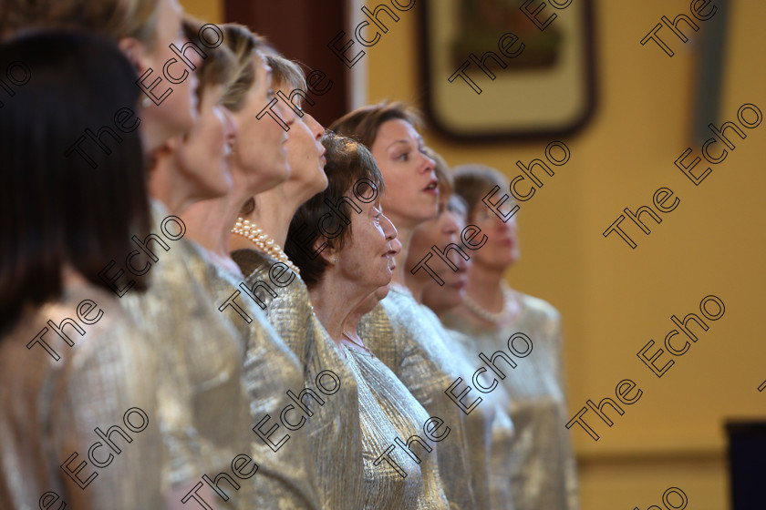 Feis04022018Sun33 
 33~38
Cor Mhagh Ealla conducted by John Casey 
 Holy Trinity Capuchin Church Adult Choirs Class: 76: The Wm. Egan Perpetual Cup Adult Sacred Choral Group or Choir Feis Maiti 92nd Festival held in Fr. Matthew Hall. EEjob 02/02/2018 Picture: Gerard Bonus.