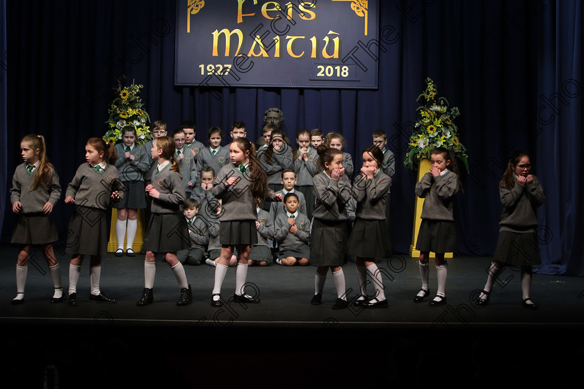 Feis23022018Fri07 
 6~14
An Teaghlaigh Ballyphehane performing.
 Speech and Drama Class: 476: The Peg OMahony Memorial Perpetual Cup Choral Speaking 4th Class Feis Maiti 92nd Festival held in Fr. Mathew Hall. EEjob 23/02/2018 Picture: Gerard Bonus.