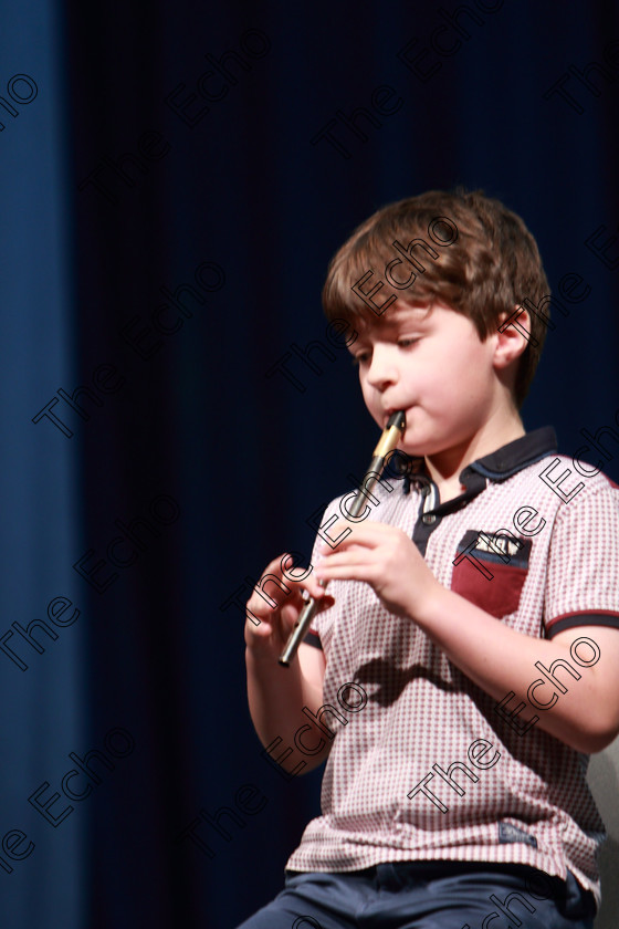 Feis05042019Fri40 
 40
Oisn OConnor from Cullen giving a 3rd place performance.

Class: 567: Feadg Stain 12 Bliana DAois N Faoina Dh phort eagsla.

Feis Maiti 93rd Festival held in Fr. Mathew Hall. EEjob 05/04/2019. Picture: Gerard Bonus