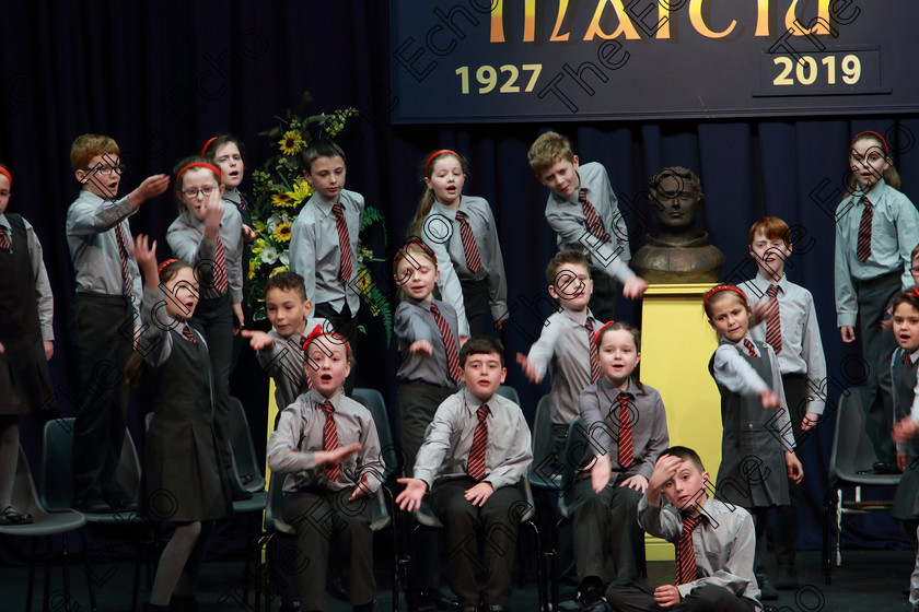 Feis03042019Wed18 
 16~22
Gaelscoil U Riordn Ballincollig performing.

Rinn: 533: Corn U Bhuachalla Cr-Reacaireacht 9 Bliana DAois N Faoina An Clog Padraig MacConcoille. (b) A Rogha Fin.

Feis Maiti 93rd Festival held in Fr. Mathew Hall. EEjob 03/04/2019. Picture: Gerard Bonus