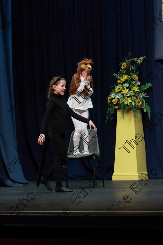 Feis26032019Tue10 
 9~10
Orla Greene and imi Walsh from Wilton performing When Youre Afraid of the Dark.

Class: 312: Dramatic Duo 10 Years and Under Section 1, A Duo Scene not exceeding 5minutes.

Feis Maiti 93rd Festival held in Fr. Mathew Hall. EEjob 26/03/2019. Picture: Gerard Bonus