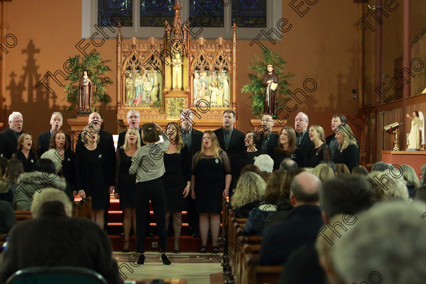 Feis0302109Sun70 
 67~71
Cantate singing It was A lover and His Lass Conducted by Elaine Kelly.

Class: 78: The Lynch Memorial Perpetual Cup Adult Vocal Choirs Two Contrasting Songs.

Feis Maiti 93rd Festival held in Fr. Matthew Hall. EEjob 03/02/2019. Picture: Gerard Bonus.