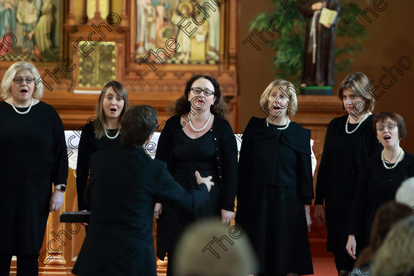 Feis0302109Sun41 
 40~41
Cor Lae Nua sing If You love Me and Moon River Conducted by Nicholas McMurray.

Class: 79: The Holy Trinity Perpetual Cup Chamber Choirs Two Contrasting Songs.

Feis Maiti 93rd Festival held in Fr. Matthew Hall. EEjob 03/02/2019. Picture: Gerard Bonus.