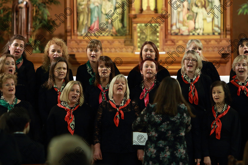 Feis0302109Sun83 
 78~83
The Sonatinas singing Eternity.

Class: 78: The Lynch Memorial Perpetual Cup Adult Vocal Choirs Two Contrasting Songs.

Feis Maiti 93rd Festival held in Fr. Matthew Hall. EEjob 03/02/2019. Picture: Gerard Bonus.