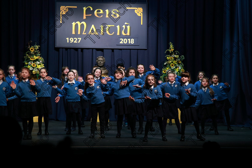 Feis13032018Tue24 
 21~24
St Marys NS Cobh 3rd Class performing Clowns as their own choice.
 Speech and Drama Class: 3rd & 4th Class Primary Schools, Action Verse Feis Maiti 92nd Festival held in Fr. Mathew Hall. EEjob 13/03/2018 Picture: Gerard Bonus.