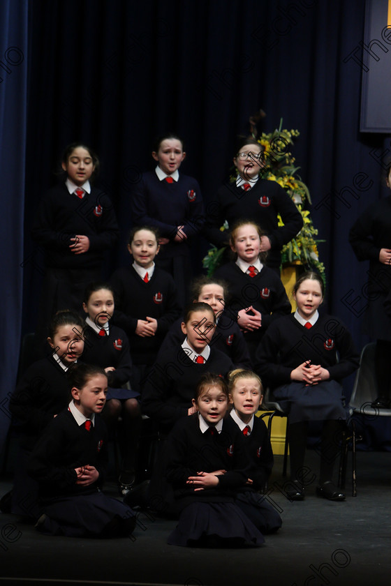 Feis23022018Fri24 
 15~31
St. Vincents 4th Class performing.
 Speech and Drama Class: 476: The Peg OMahony Memorial Perpetual Cup Choral Speaking 4th Class Feis Maiti 92nd Festival held in Fr. Mathew Hall. EEjob 23/02/2018 Picture: Gerard Bonus.