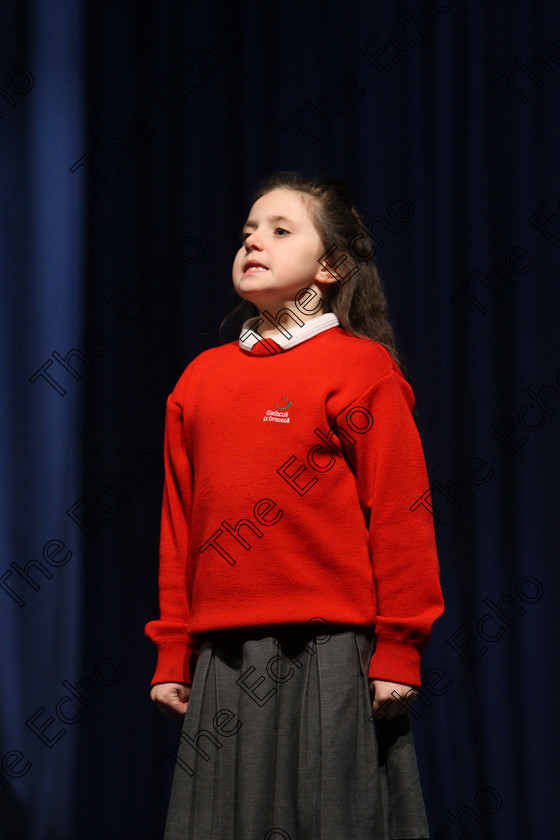 Feis22032018Thu04 
 4
Gracie Blessing from Glanmire giving a Silver Medal performance 
 Labhairt na Filocht agus Mreanna Drmaochta Class: 516: Bharslabhairt 9 Bliana DAois N Faoina Roinn 2 Feis Maiti 92nd Festival held in Fr. Mathew Hall. EEjob 22/03/2018 Picture: Gerard Bonus