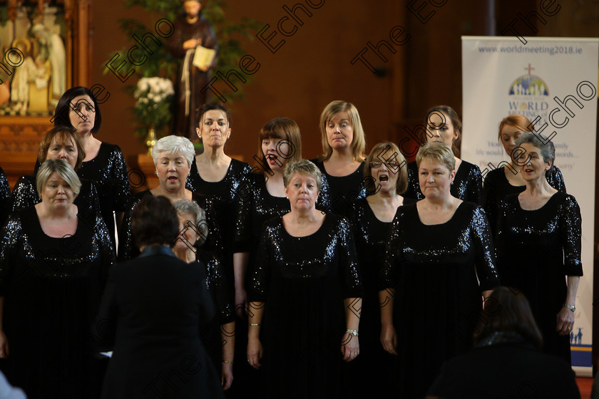 Feis04022018Sun72 
 71~76
The Voices conducted by Mary Pedder Daly 
 Holy Trinity Capuchin Church Adult Choirs Class: 78: The Lynch Memorial Perpetual Cup Adult Vocal Choirs Two Contrasting Songs Feis Maiti 92nd Festival held in Fr. Matthew Hall. EEjob 02/02/2018 Picture: Gerard Bonus.