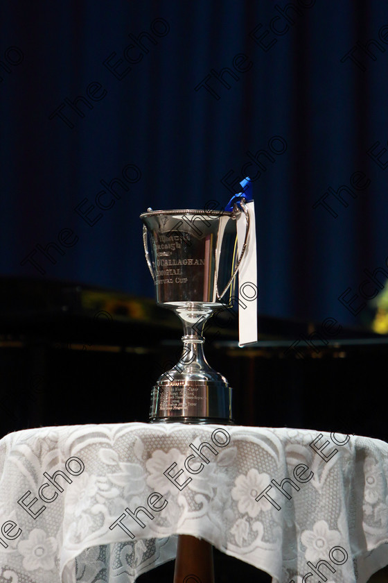 Feis01032019Fri43 
 43
The Prize they are performing for.

Class: 114: The Henry OCallaghan Memorial Perpetual Cup Solo Action Song 10 Years and Under Section 2 An action song of own choice.

Feis Maiti 93rd Festival held in Fr. Mathew Hall. EEjob 01/03/2019. Picture: Gerard Bonus