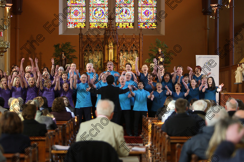 Feis04022018Sun57 
 49~57
Scrubs Choir conducted by Patrick Dalton.
 Holy Trinity Capuchin Church Adult Choirs Class: 78: The Lynch Memorial Perpetual Cup Adult Vocal Choirs Two Contrasting Songs Feis Maiti 92nd Festival held in Fr. Matthew Hall. EEjob 02/02/2018 Picture: Gerard Bonus.