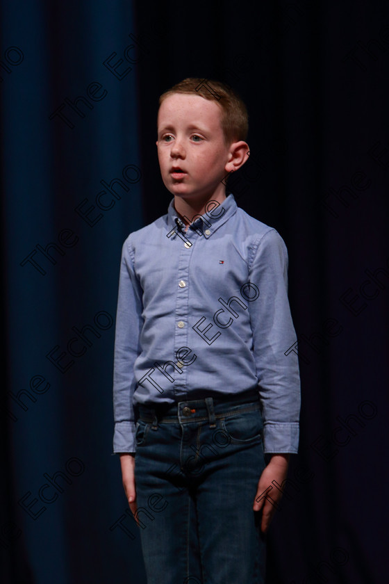 Feis30032019Sat58 
 58
Jamie Bermingham performing.

Class: 383: Solo Verse Speaking Boys 6 Years and UnderSection 2 Either: Tarantula Clare Bevan or Bedtime Allan Ahlberg.

Feis Maiti 93rd Festival held in Fr. Mathew Hall. EEjob 30/03/2019. Picture: Gerard Bonus