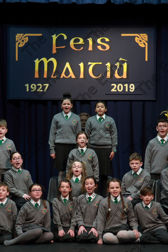 Feis03042019Wed27 
 23~27
Gaelscoil an Teaghlaigh Naofa, Ballyphehane performing.

Rinn: 534: Corn Na Laoi Cr-Reacaireacht 12 Bliana DAois N Faoina Cl an T Sen  Riordin. (b) A Rogha Fin.

Feis Maiti 93rd Festival held in Fr. Mathew Hall. EEjob 03/04/2019. Picture: Gerard Bonus