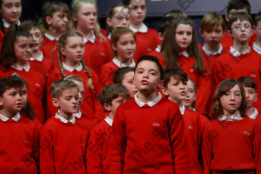 Feis28022019Thu46 
 45~48
Gaelscoil U Drisceoil Glanmire singing Ballue.

Class: 85: The Soroptimist International (Cork) Perpetual Trophy and Bursary
Bursary Value 130 Unison or Part Choirs 13 Years and Under Two contrasting folk songs.

Feis Maiti 93rd Festival held in Fr. Mathew Hall. EEjob 28/02/2019. Picture: Gerard Bonus