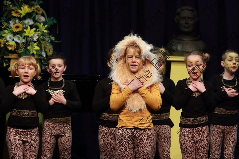 Feis12022019Tue20 
 17~24
Timoleague NS performing extracts from The Lion King.

Class: 104: The Pam Golden Perpetual Cup Group Action Songs -Primary Schools Programme not to exceed 8 minutes.

Feis Maiti 93rd Festival held in Fr. Mathew Hall. EEjob 12/02/2019. Picture: Gerard Bonus