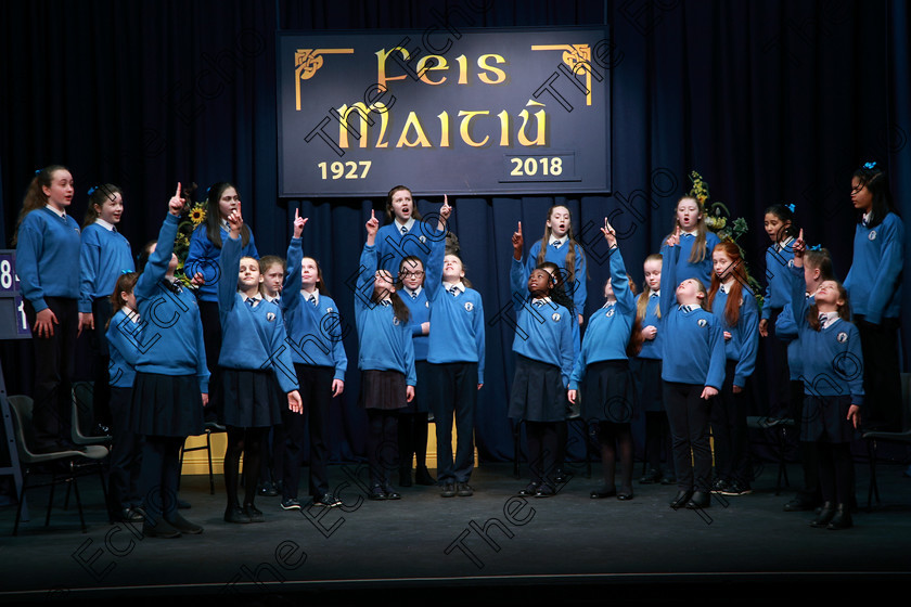 Feis21022018Wed28(1) 
 26~31
Marys Cobh 6th Class performing Transylvania Dreaming.
 Speech and Drama Classes: 485: Action Verse The OBrien Perpetual Cup5th Class and Class: 484: The Sri Lanka Festival Perpetual Trophy 6th Class, Feis Maiti 92nd Festival held in Fr. Mathew Hall. EEjob 21/02/2018 Picture: Gerard Bonus.