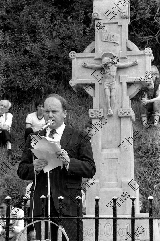 1383682 
 Beal Na Blath Commemoration, August 26th 1984. Ref 294/55B. neg no.22.