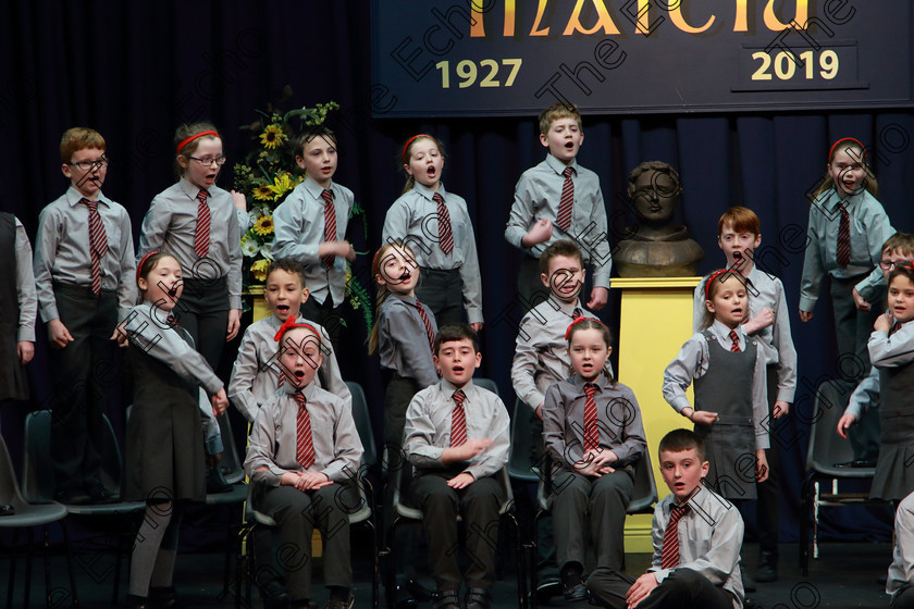 Feis03042019Wed19 
 16~22
Gaelscoil U Riordn Ballincollig performing.

Rinn: 533: Corn U Bhuachalla Cr-Reacaireacht 9 Bliana DAois N Faoina An Clog Padraig MacConcoille. (b) A Rogha Fin.

Feis Maiti 93rd Festival held in Fr. Mathew Hall. EEjob 03/04/2019. Picture: Gerard Bonus